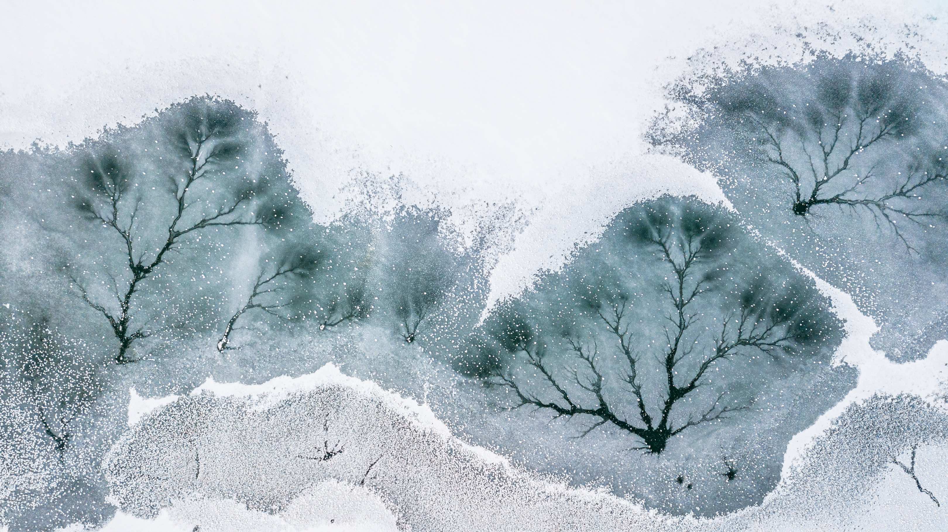 《冰上水墨画》 2022年12月18日，雪后的甘肃张掖黑河湿地迎来了午后的温暖，湖面的冰雪开始逐渐消融。