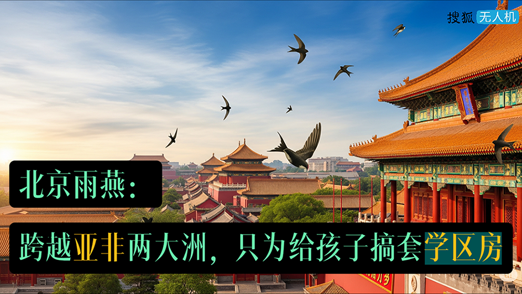 快门一响 自然不再沉默